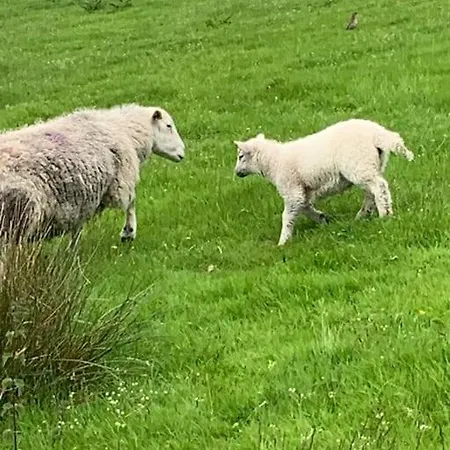 Shamrock, On Windermere, Superb One Bedroom With Private Parking *